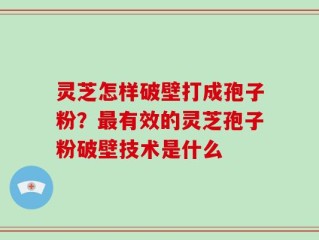 灵芝怎样破壁打成孢子粉？最有效的灵芝孢子粉破壁技术是什么