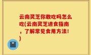 云南灵芝你敢吃吗怎么吃(云南灵芝进食指南，了解常见食用方法！)