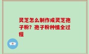灵芝怎么制作成灵芝孢子粉？孢子粉种植全过程