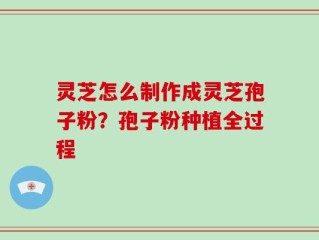 灵芝怎么制作成灵芝孢子粉？孢子粉种植全过程