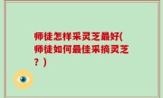 师徒怎样采灵芝最好(师徒如何最佳采摘灵芝？)