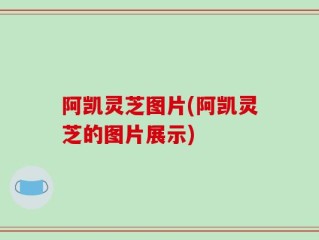 阿凯灵芝图片(阿凯灵芝的图片展示)