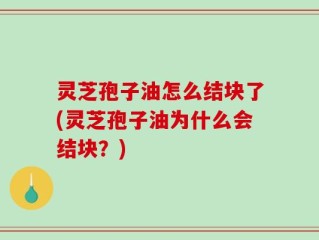 灵芝孢子油怎么结块了(灵芝孢子油为什么会结块？)