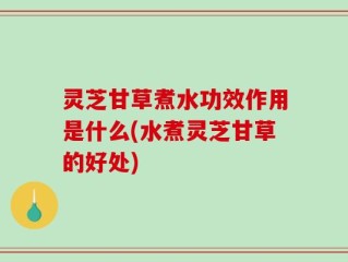 灵芝甘草煮水功效作用是什么(水煮灵芝甘草的好处)