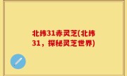 北纬31赤灵芝(北纬31，探秘灵芝世界)