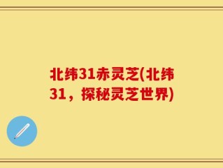 北纬31赤灵芝(北纬31，探秘灵芝世界)
