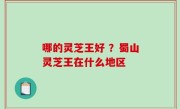 哪的灵芝王好 ？蜀山灵芝王在什么地区