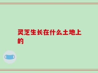 灵芝生长在什么土地上的
