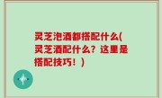 灵芝泡酒都搭配什么(灵芝酒配什么？这里是搭配技巧！)