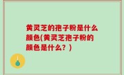 黄灵芝的孢子粉是什么颜色(黄灵芝孢子粉的颜色是什么？)