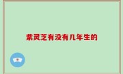 紫灵芝有没有几年生的
