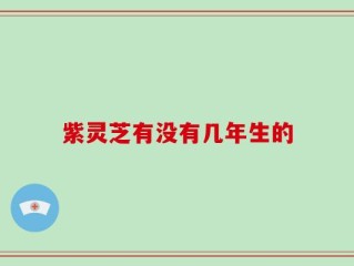 紫灵芝有没有几年生的