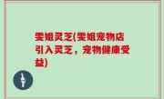 雯姐灵芝(雯姐宠物店引入灵芝，宠物健康受益)