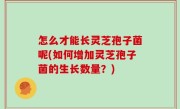 怎么才能长灵芝孢子菌呢(如何增加灵芝孢子菌的生长数量？)
