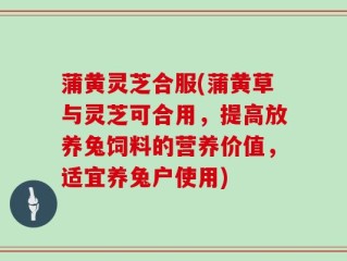 蒲黄灵芝合服(蒲黄草与灵芝可合用，提高放养兔饲料的营养价值，适宜养兔户使用)