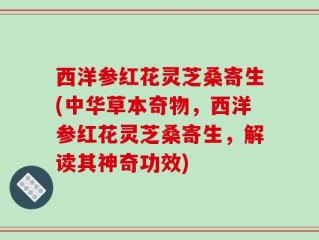西洋参红花灵芝桑寄生(中华草本奇物，西洋参红花灵芝桑寄生，解读其神奇功效)