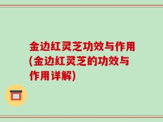 金边红灵芝功效与作用(金边红灵芝的功效与作用详解)