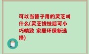 可以当簪子用的灵芝叫什么(灵芝拔枝后可小巧精致 家居环保新选择)