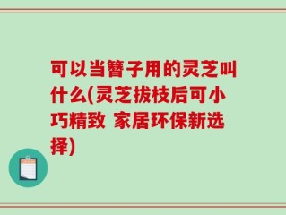 可以当簪子用的灵芝叫什么(灵芝拔枝后可小巧精致 家居环保新选择)