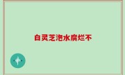 白灵芝泡水腐烂不