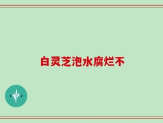 白灵芝泡水腐烂不