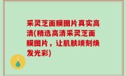 采灵芝面膜图片真实高清(精选高清采灵芝面膜图片，让肌肤顷刻焕发光彩)