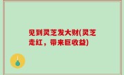 见到灵芝发大财(灵芝走红，带来巨收益)