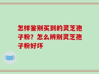 怎样鉴别买到的灵芝孢子粉？怎么辨别灵芝孢子粉好坏