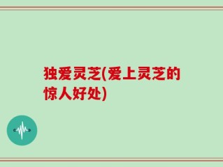 独爱灵芝(爱上灵芝的惊人好处)