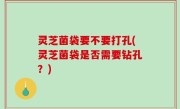 灵芝菌袋要不要打孔(灵芝菌袋是否需要钻孔？)
