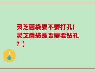 灵芝菌袋要不要打孔(灵芝菌袋是否需要钻孔？)