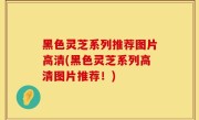 黑色灵芝系列推荐图片高清(黑色灵芝系列高清图片推荐！)