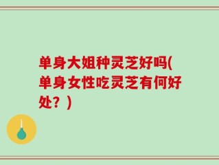 单身大姐种灵芝好吗(单身女性吃灵芝有何好处？)