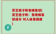 灵芝孢子粉有棉絮状(灵芝孢子粉：发现棉絮状成分 对人体更健康)