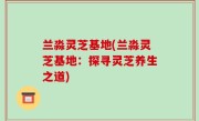 兰淼灵芝基地(兰淼灵芝基地：探寻灵芝养生之道)
