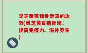 灵芝黄芪猪骨煲汤的功效(灵芝黄芪猪骨汤：提高免疫力、滋补养生)