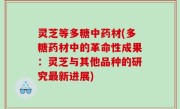 灵芝等多糖中药材(多糖药材中的革命性成果：灵芝与其他品种的研究最新进展)