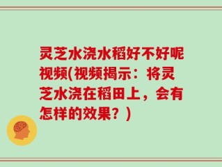 灵芝水浇水稻好不好呢视频(视频揭示：将灵芝水浇在稻田上，会有怎样的效果？)