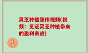 灵芝种植张伟视频(视频：见证灵芝种植带来的盈利奇迹)