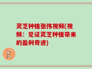 灵芝种植张伟视频(视频：见证灵芝种植带来的盈利奇迹)