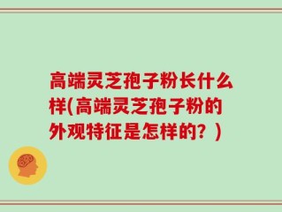 高端灵芝孢子粉长什么样(高端灵芝孢子粉的外观特征是怎样的？)