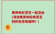 黄芪枸杞灵芝一起泡水(浸泡黄芪枸杞和灵芝的好处你知道吗？)