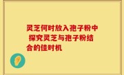 灵芝何时放入孢子粉中 探究灵芝与孢子粉结合的佳时机