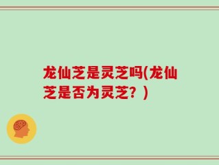 龙仙芝是灵芝吗(龙仙芝是否为灵芝？)