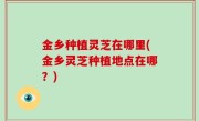 金乡种植灵芝在哪里(金乡灵芝种植地点在哪？)