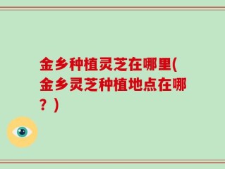 金乡种植灵芝在哪里(金乡灵芝种植地点在哪？)