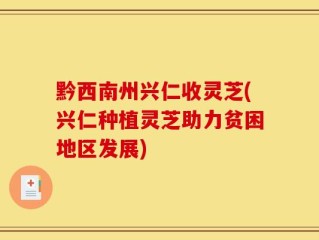 黔西南州兴仁收灵芝(兴仁种植灵芝助力贫困地区发展)