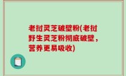 老挝灵芝破壁粉(老挝野生灵芝粉彻底破壁，营养更易吸收)