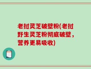 老挝灵芝破壁粉(老挝野生灵芝粉彻底破壁，营养更易吸收)