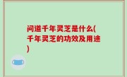 问道千年灵芝是什么(千年灵芝的功效及用途)